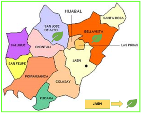 Socios_Jaén Socios_Jaén