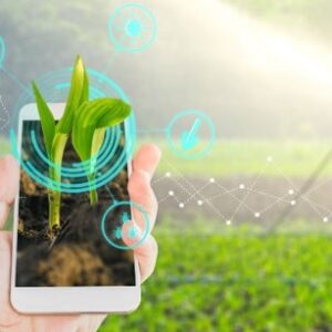 objetivo 3.png objetivo 3.png